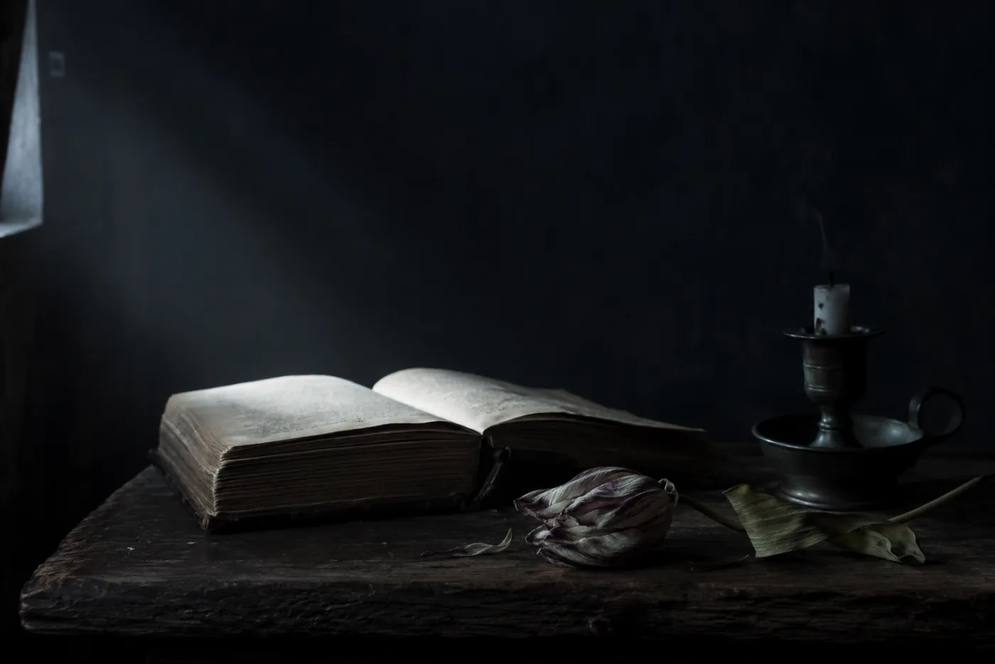 A Dutch vanitas still life: an open book, a wilted tulip and a snuffed candle on a dark table