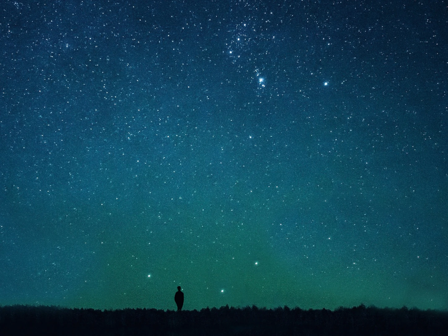 A small black silhouette standing alone on the horizon beneath a vast starry sky