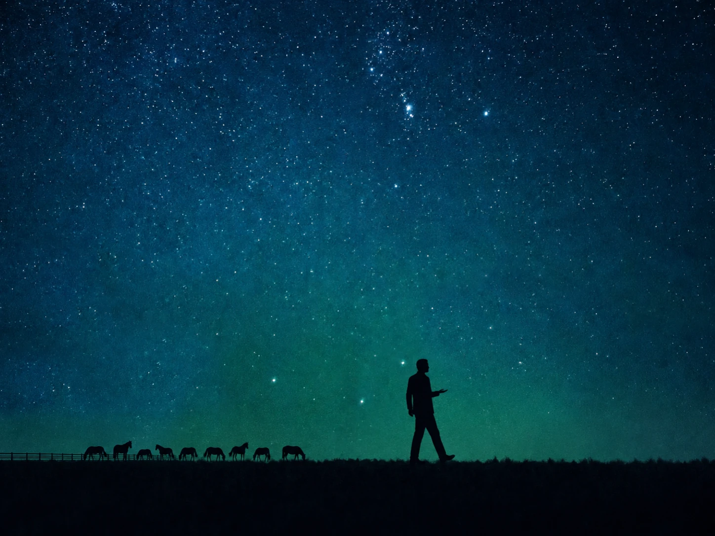 Zwart silhouet van een man die midden in een stap blijft staan in een open veld, met ver achter hem een kudde paarden, onder een sterrenhemel